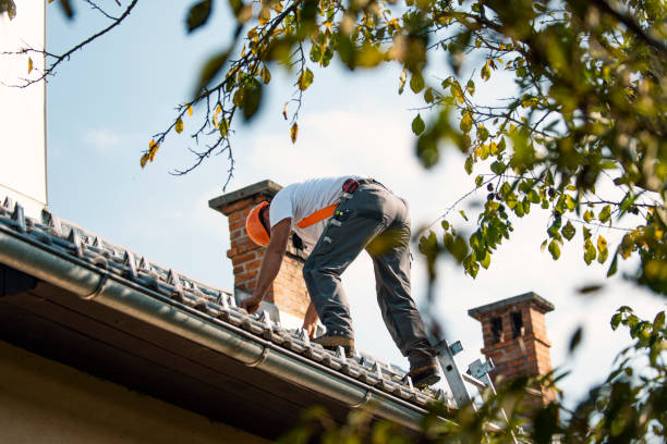 Best New Roof Installation  in Scanlon, MN