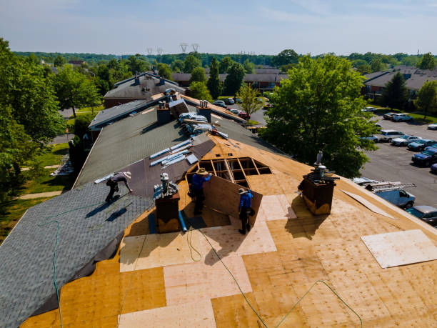 Best Storm Damage Roof Repair  in Scanlon, MN