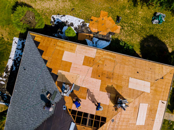 Best Commercial Roofing Services  in Scanlon, MN