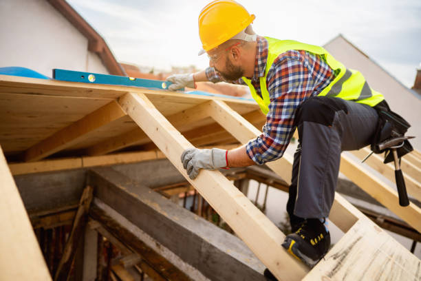 Best Roof Maintenance Services  in Scanlon, MN