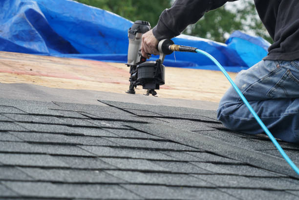 Best Storm Damage Roof Repair  in Scanlon, MN