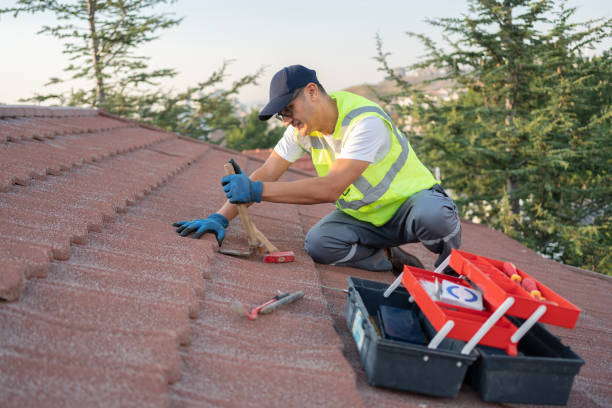 Roof Installation Near Me in Scanlon, MN