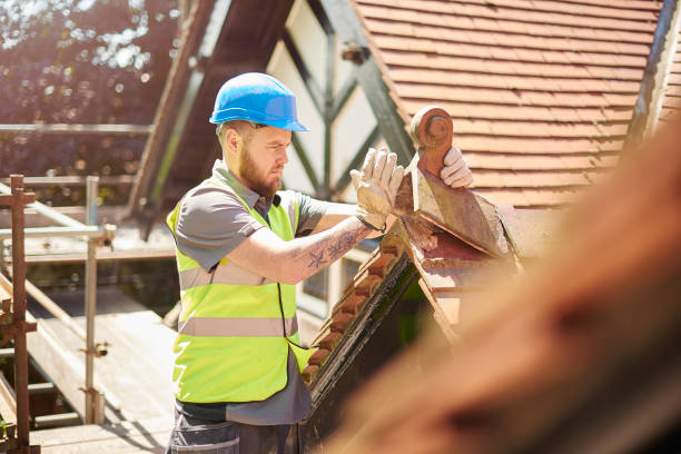 Best Roof Waterproofing Services  in Scanlon, MN